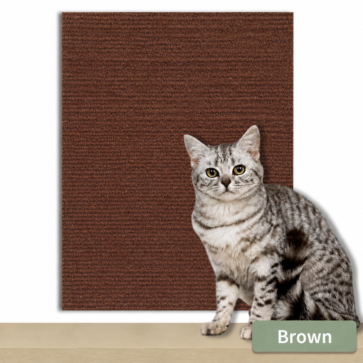 Scratch Carpet